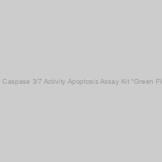 Image of Cell Meter™ Caspase 3/7 Activity Apoptosis Assay Kit *Green Fluorescence*